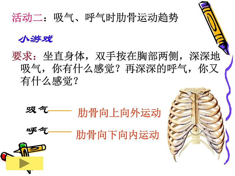 初中生物人教版七年级下册 第二节发生在肺内的气体交换 10 课件第8页