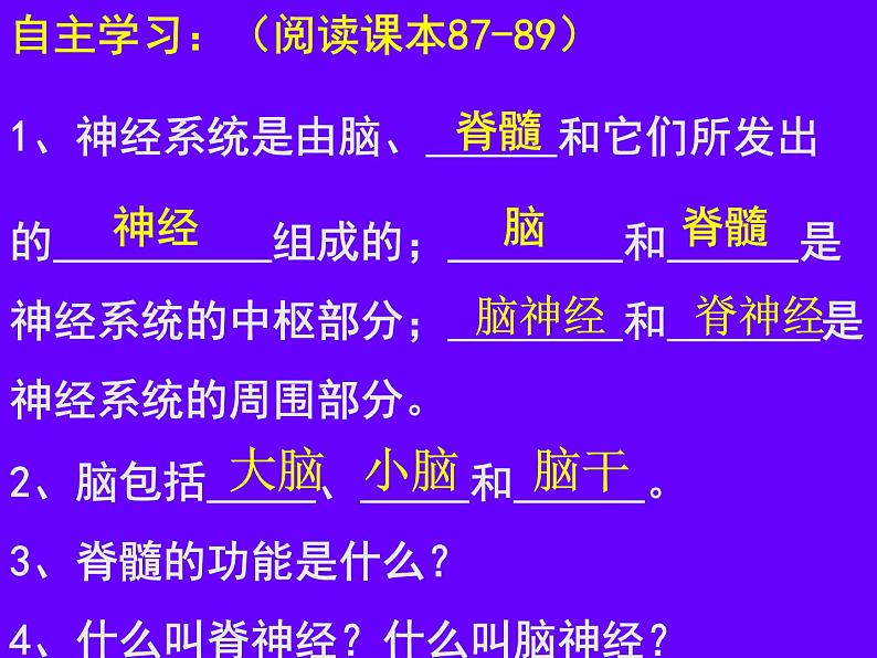 初中生物人教版七年级下册 第二节神经系统的组成 1 课件02