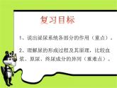 初中生物人教版七年级下册 人体内废物的排出 6 课件
