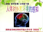 初中生物人教版七年级下册 第一节人体对外界环境的感知 1 课件