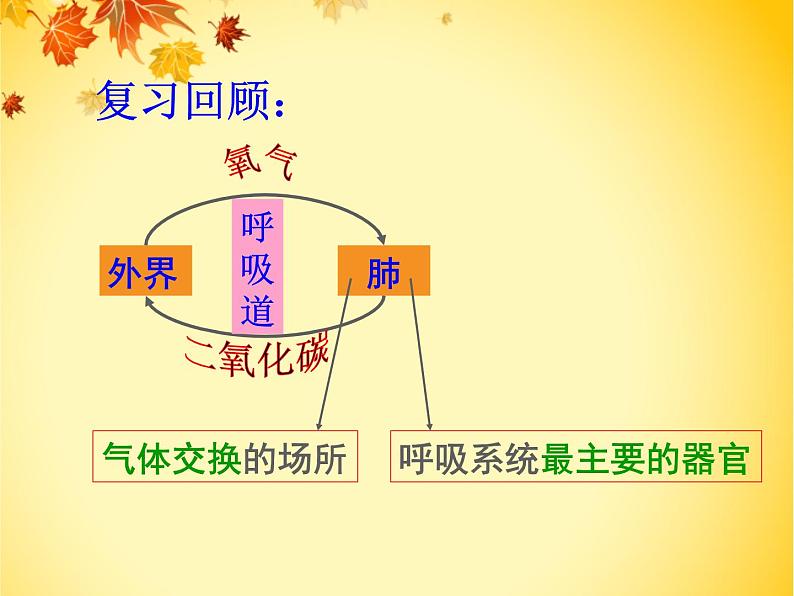 初中生物人教版七年级下册 第二节发生在肺内的气体交换 7 课件第2页