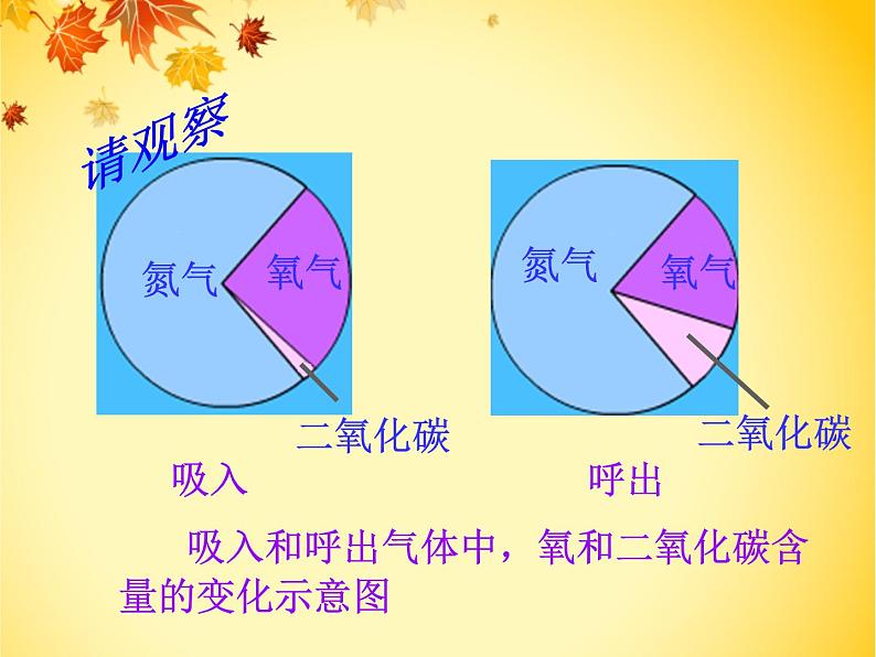 初中生物人教版七年级下册 第二节发生在肺内的气体交换 7 课件第8页