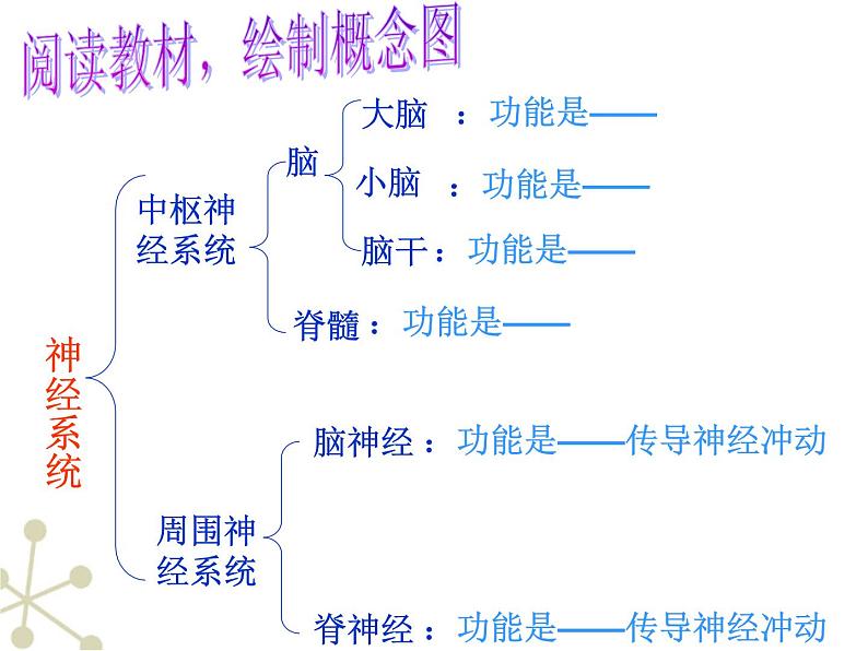 初中生物人教版七年级下册 第二节神经系统的组成 2 课件第5页