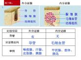 初中生物人教版七年级下册 第四节激素调节 课件