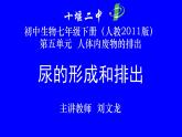 初中生物人教版七年级下册 人体内废物的排出 9 课件