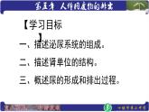初中生物人教版七年级下册 人体内废物的排出 9 课件