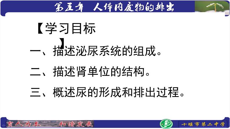 初中生物人教版七年级下册 人体内废物的排出 9 课件第3页