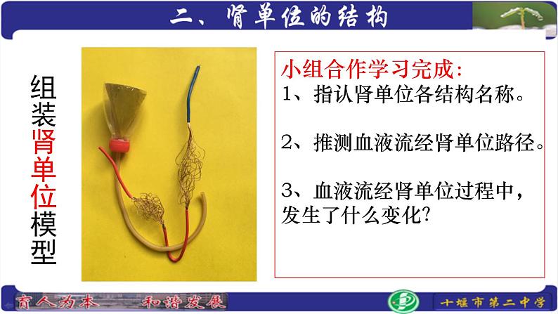 初中生物人教版七年级下册 人体内废物的排出 9 课件第8页