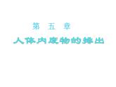 初中生物人教版七年级下册 人体内废物的排出 课件