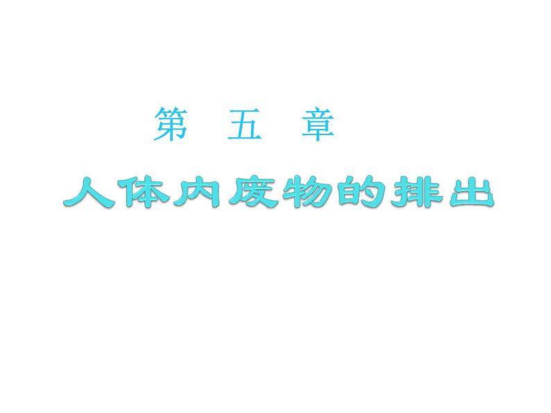 初中生物人教版七年级下册 人体内废物的排出 课件第1页