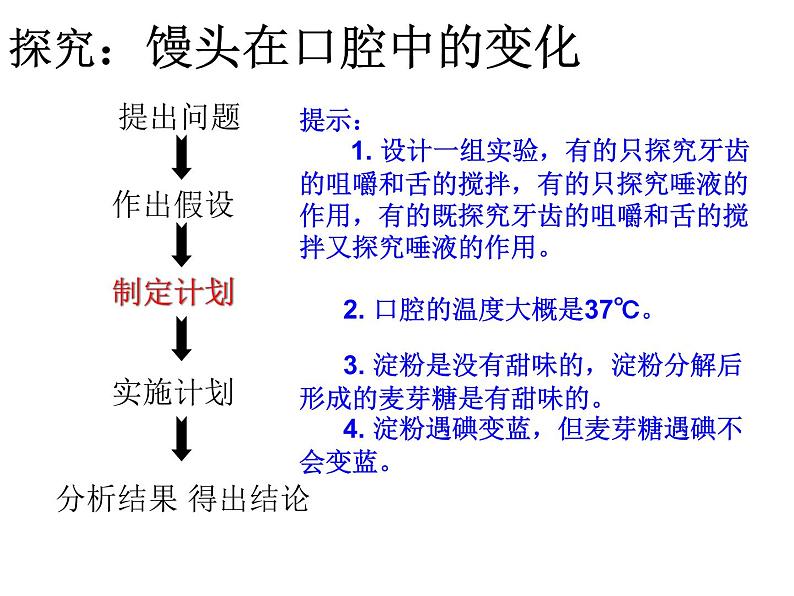 初中生物人教版七年级下册 第一节食物中的营养物质 2 课件第2页