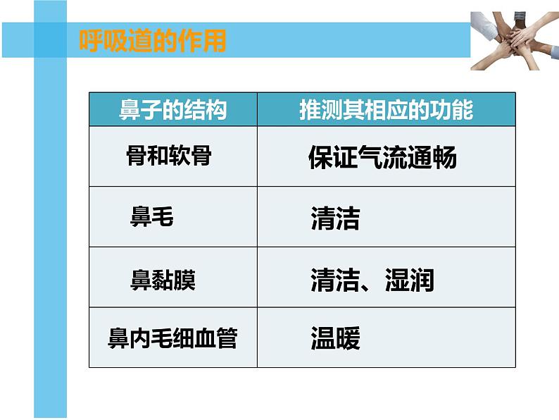 初中生物人教版七年级下册 第一节呼吸道对空气的处理 课件06