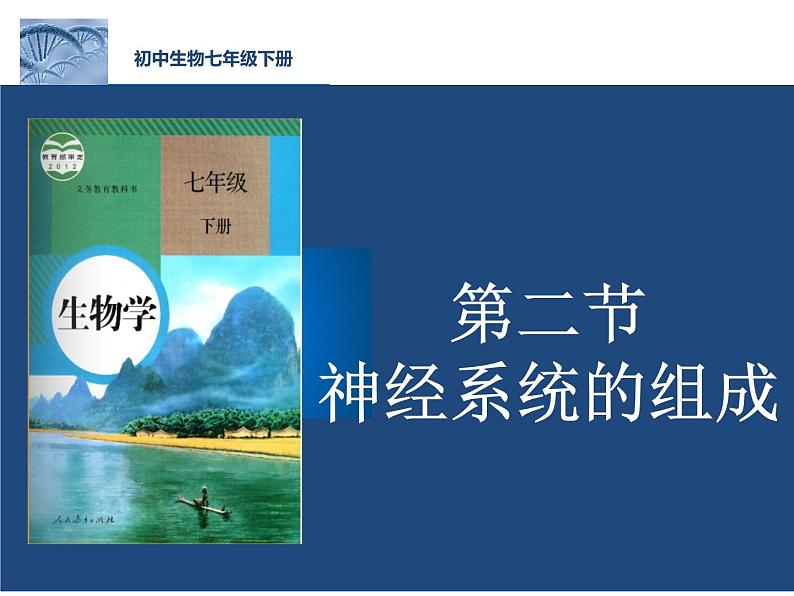 初中生物人教版七年级下册 第二节神经系统的组成 1 课件01