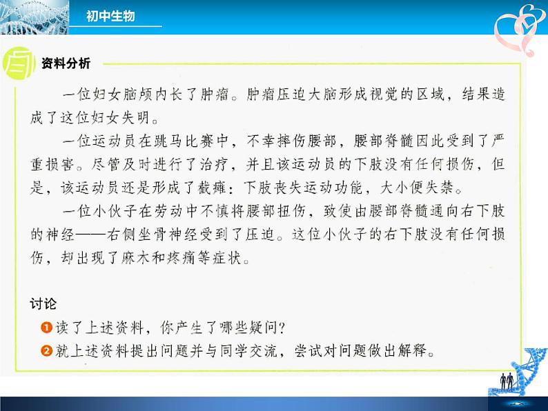 初中生物人教版七年级下册 第二节神经系统的组成 1 课件04