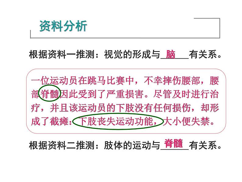 初中生物人教版七年级下册 第二节神经系统的组成 3 课件第3页