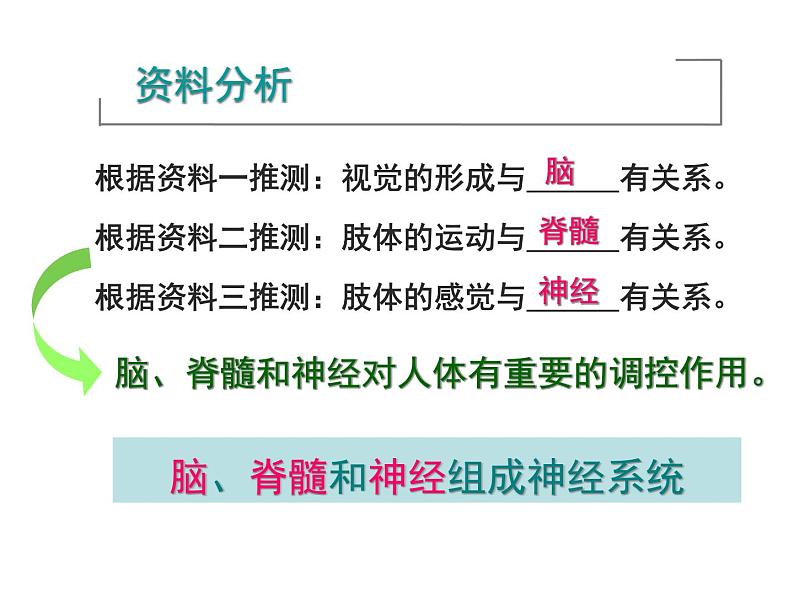 初中生物人教版七年级下册 第二节神经系统的组成 3 课件第5页