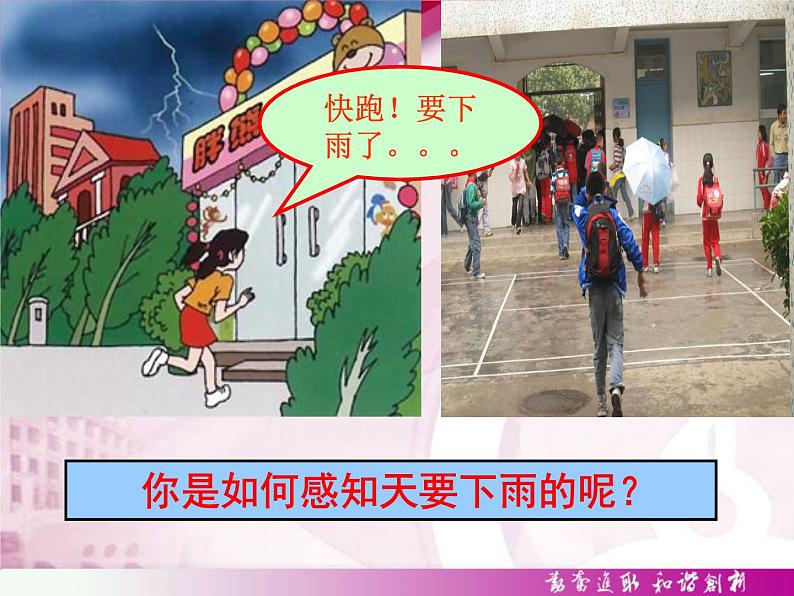 初中生物人教版七年级下册 第一节人体对外界环境的感知 3 课件第2页