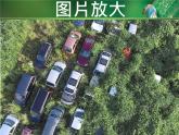 初中生物人教版七年级下册 第二节探究环境污染对生物的影响 课件