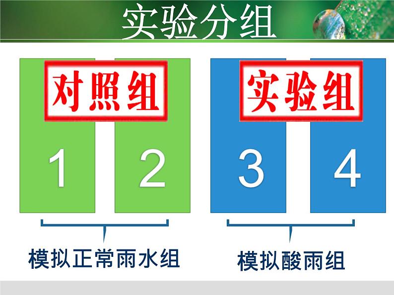 初中生物人教版七年级下册 第二节探究环境污染对生物的影响 课件08