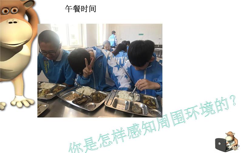 初中生物人教版七年级下册 第一节人体对外界环境的感知 课件第2页