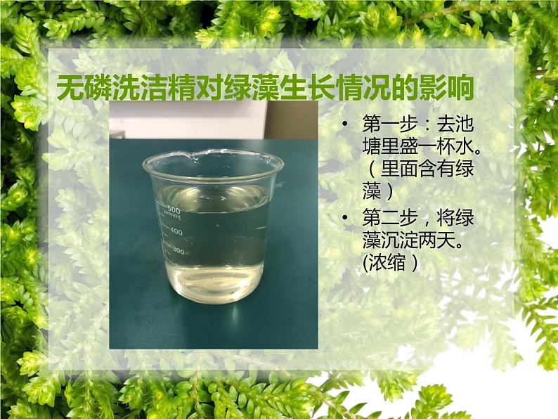 初中生物人教版七年级下册 第二节探究环境污染对生物的影响 2 课件02