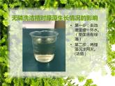 初中生物人教版七年级下册 第二节探究环境污染对生物的影响 2 课件