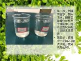 初中生物人教版七年级下册 第二节探究环境污染对生物的影响 2 课件