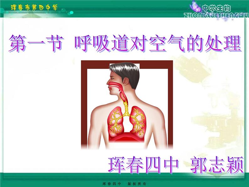 初中生物人教版七年级下册 第一节呼吸道对空气的处理 课件第1页