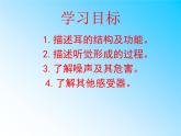 初中生物人教版七年级下册 第一节人体对外界环境的感知 2 课件