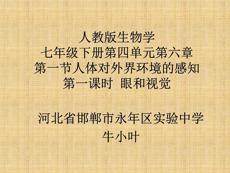 初中生物人教版七年级下册 第一节人体对外界环境的感知 课件01