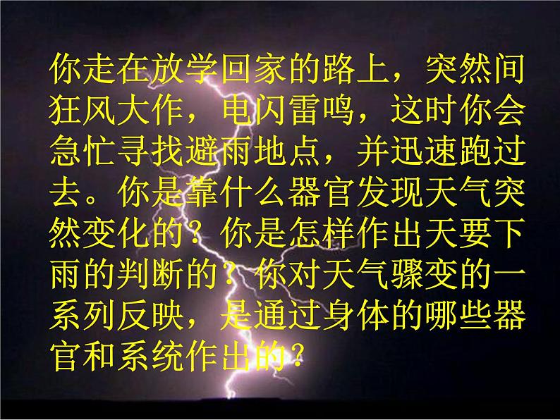 初中生物人教版七年级下册 第一节人体对外界环境的感知 课件02