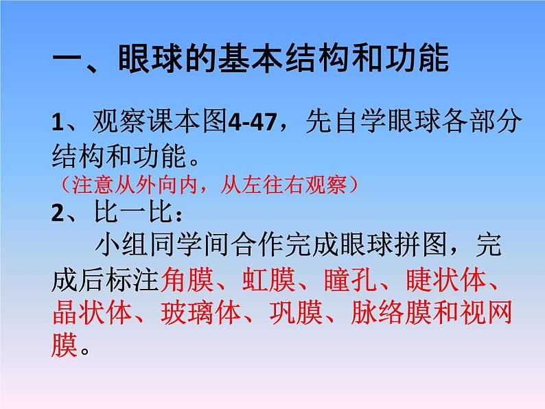 初中生物人教版七年级下册 第一节人体对外界环境的感知 课件04