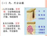 初中生物人教版七年级下册 第四节激素调节 课件