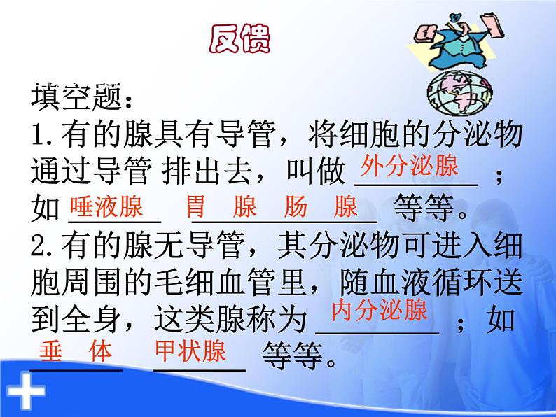 初中生物人教版七年级下册 第四节激素调节 4 课件第5页