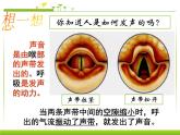 初中生物人教版七年级下册 第一节呼吸道对空气的处理 7 课件