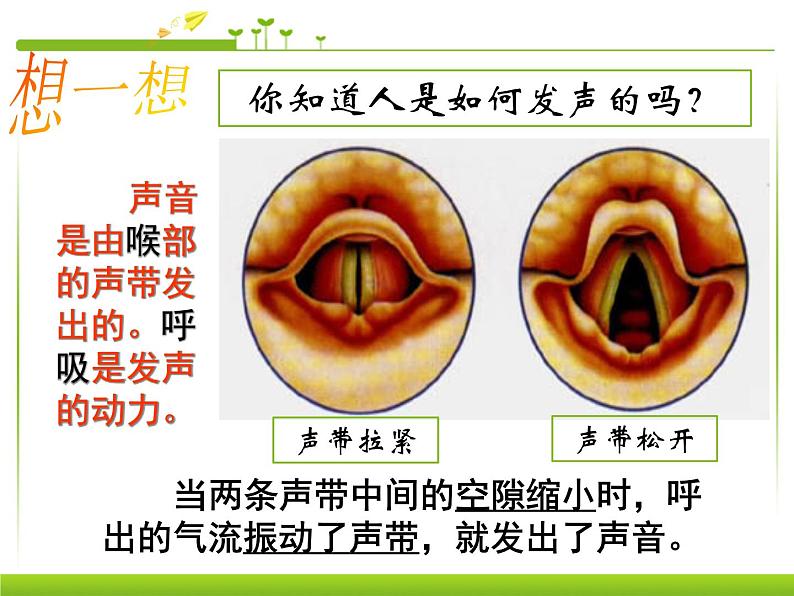 初中生物人教版七年级下册 第一节呼吸道对空气的处理 7 课件第2页