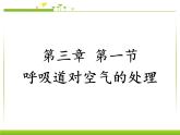 初中生物人教版七年级下册 第一节呼吸道对空气的处理 7 课件