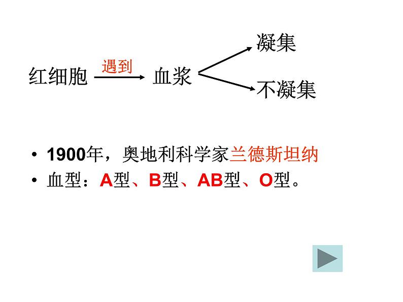 初中生物人教版七年级下册 第四节输血与血型 2 课件06