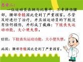 初中生物人教版七年级下册 第二节神经系统的组成 课件