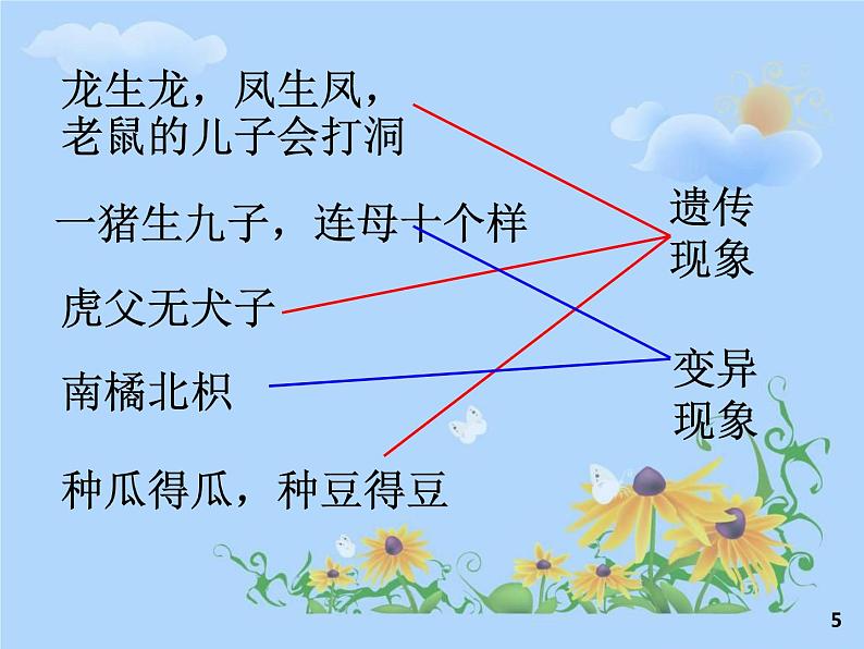 初中生物人教版八年级下册 第一节基因控制生物的性状 2 课件第5页