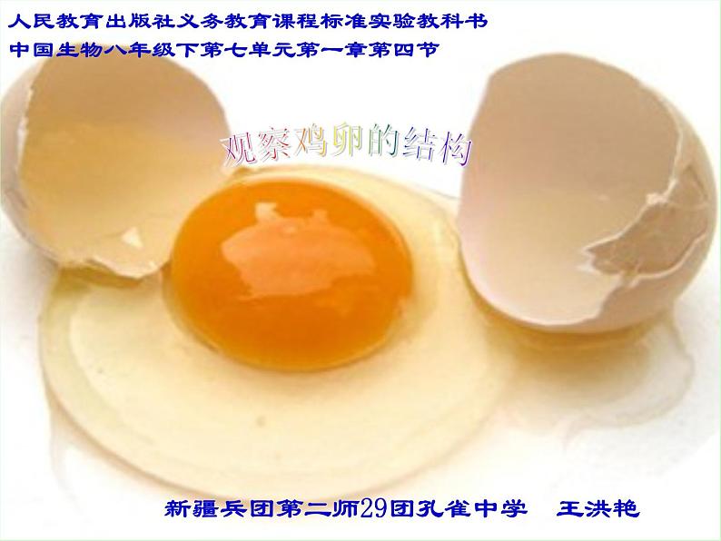 初中生物人教版八年级下册 第四节鸟的生殖和发育 6 课件01