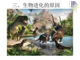 初中生物人教版八年级下册 第三节生物进化的原因 1 课件
