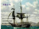 初中生物人教版八年级下册 第三节生物进化的原因 1 课件