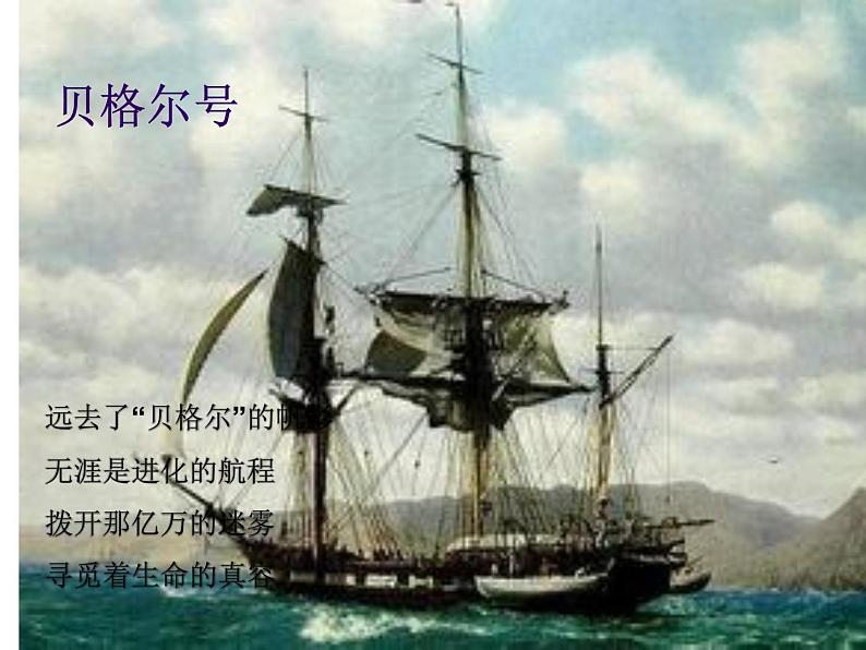 初中生物人教版八年级下册 第三节生物进化的原因 1 课件第3页