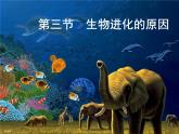 初中生物人教版八年级下册 第三节生物进化的原因 1 课件