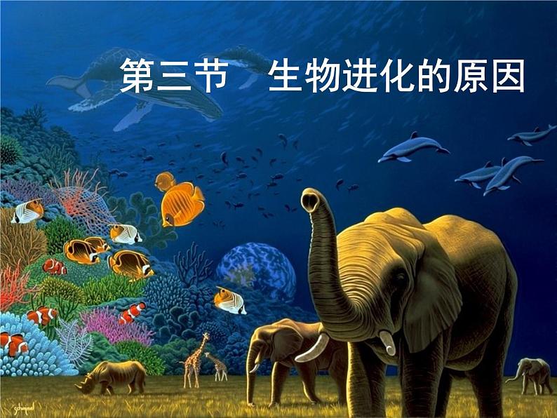 初中生物人教版八年级下册 第三节生物进化的原因 1 课件第4页
