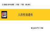 初中生物人教版八年级下册 第四节人的性别遗传 课件