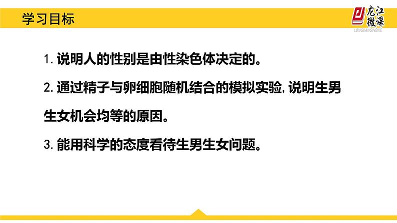 初中生物人教版八年级下册 第四节人的性别遗传 课件第5页