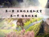 初中生物人教版八年级下册 第一节植物的生殖 课件