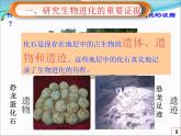 初中生物人教版八年级下册 第二节生物进化的历程 2 课件